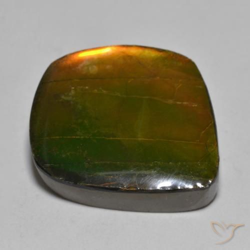 Ammolite Multicolore naturale da 16.24 ct, Taglio a fantasia, Opaco