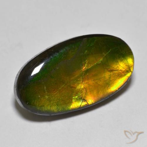 10.40ct Naturale Multicolore Ammolite, Ovale, Opaco