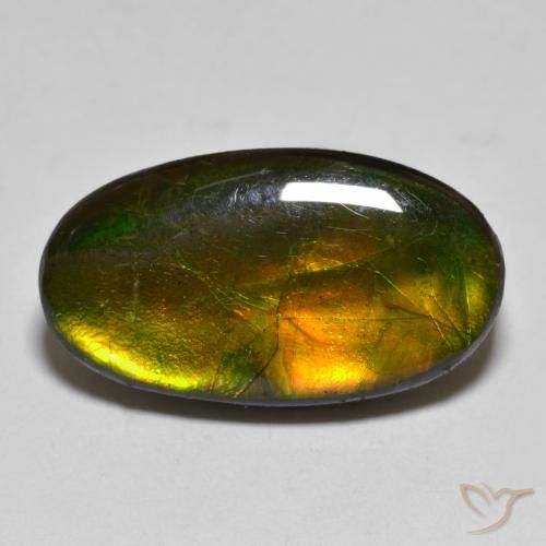 Ammolite Multicolore naturale da 10.40 ct, Ovale, Opaco
