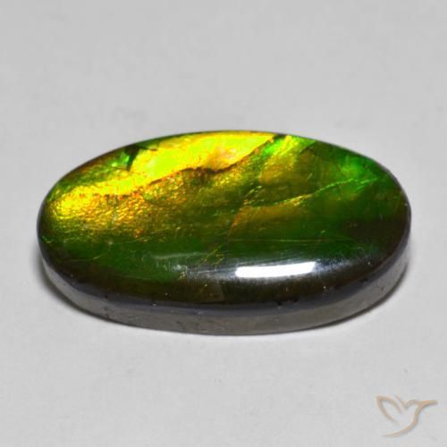 Ammolite Multicolore naturale da 10.40 ct, Ovale, Opaco