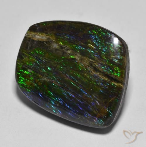 Ammolite Multicolore naturale da 17.51 ct, Taglio a fantasia, Opaco