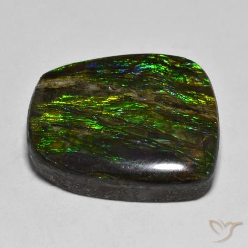 Ammolite Multicolore naturale da 17.51 ct, Taglio a fantasia, Opaco