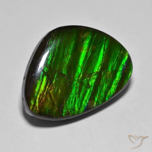14.85ct Naturale Multicolore Ammolite, Taglio a fantasia, Opaco