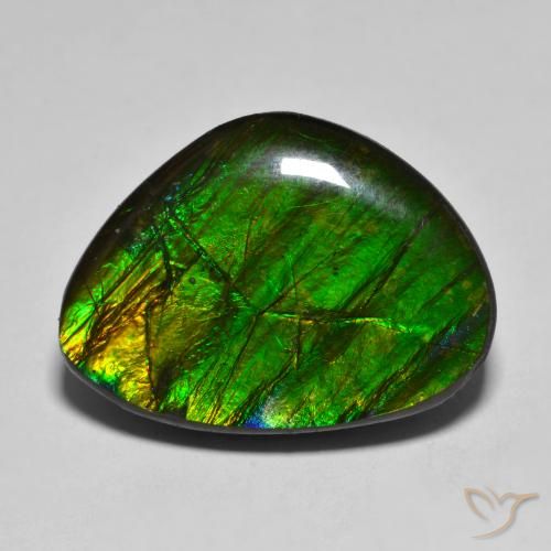 Ammolite Multicolore naturale da 14.85 ct, Taglio a fantasia, Opaco
