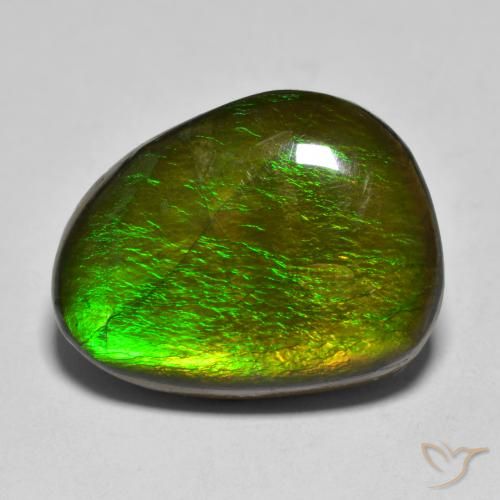 11.23ct Naturale Multicolore Ammolite, Taglio a fantasia, Opaco