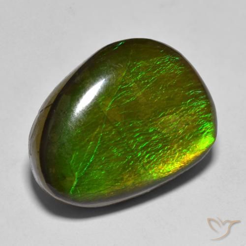 Ammolite Multicolore naturale da 11.23 ct, Taglio a fantasia, Opaco