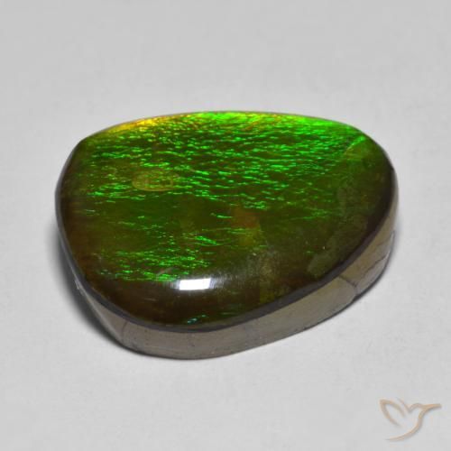 Ammolite Multicolore naturale da 11.23 ct, Taglio a fantasia, Opaco