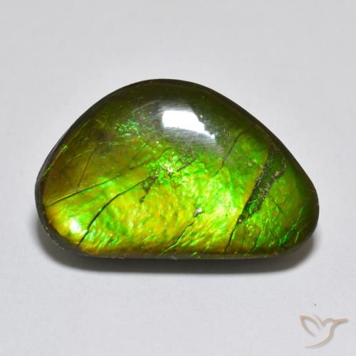 10.81ct Naturale Multicolore Ammolite, Taglio a fantasia, Opaco