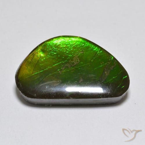 Ammolite Multicolore naturale da 10.81 ct, Taglio a fantasia, Opaco