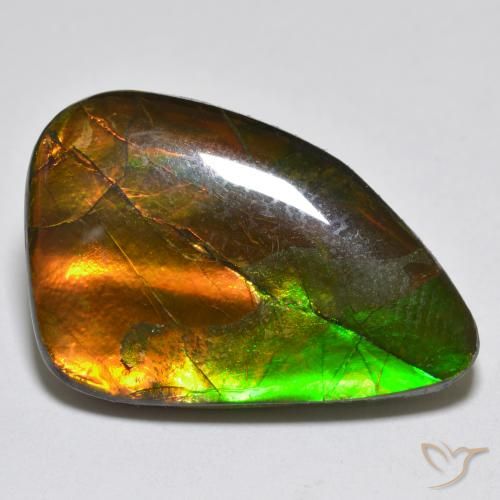 12.25ct Naturale Multicolore Ammolite, Taglio a fantasia, Opaco