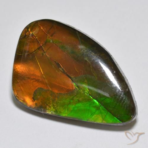 Ammolite Multicolore naturale da 12.25 ct, Taglio a fantasia, Opaco