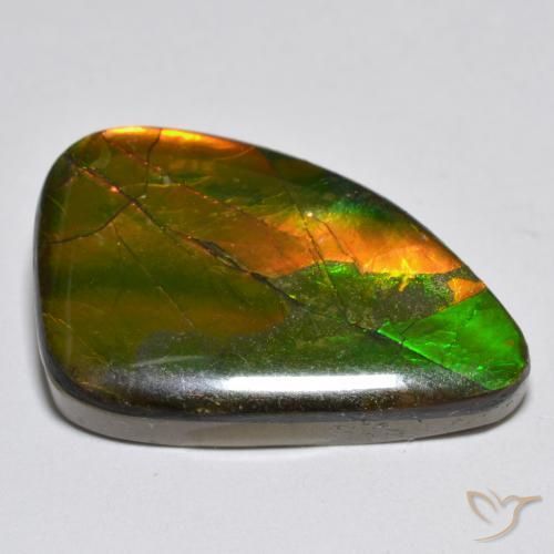 Ammolite Multicolore naturale da 12.25 ct, Taglio a fantasia, Opaco
