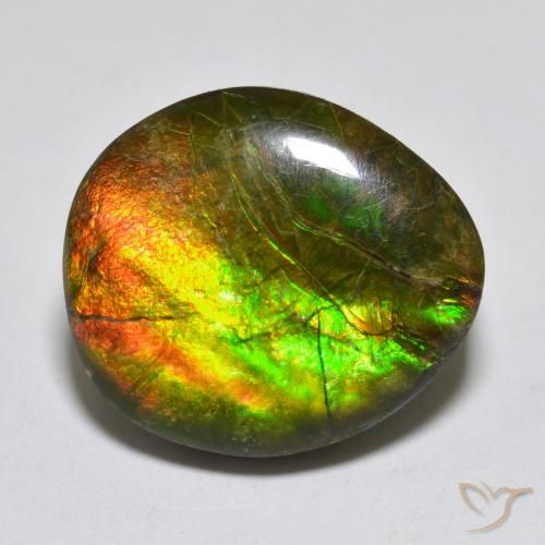 13.34ct Naturale Multicolore Ammolite, Taglio a fantasia, Opaco