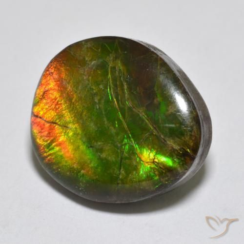Ammolite Multicolore naturale da 13.34 ct, Taglio a fantasia, Opaco