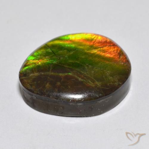 Ammolite Multicolore naturale da 13.34 ct, Taglio a fantasia, Opaco