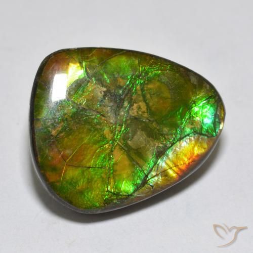 14.92ct Naturale Multicolore Ammolite, Taglio a fantasia, Opaco
