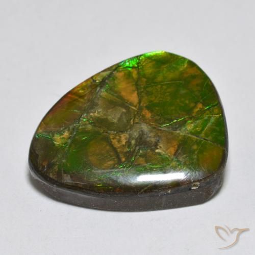 Ammolite Multicolore naturale da 14.92 ct, Taglio a fantasia, Opaco