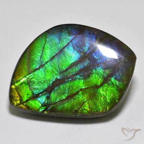 17.95ct Naturale Multicolore Ammolite, Taglio a fantasia, Opaco