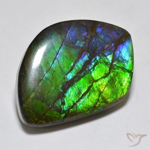 Ammolite Multicolore naturale da 17.95 ct, Taglio a fantasia, Opaco