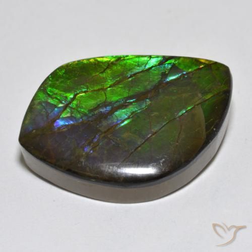Ammolite Multicolore naturale da 17.95 ct, Taglio a fantasia, Opaco