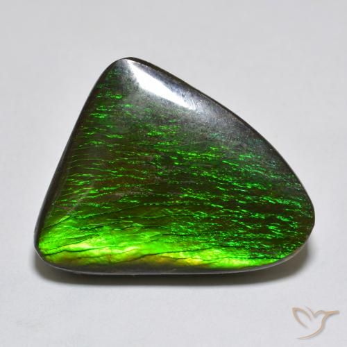 13.96ct Naturale Multicolore Ammolite, Taglio a fantasia, Opaco