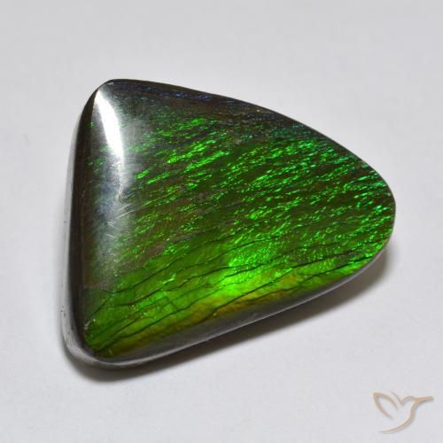 Ammolite Multicolore naturale da 13.96 ct, Taglio a fantasia, Opaco