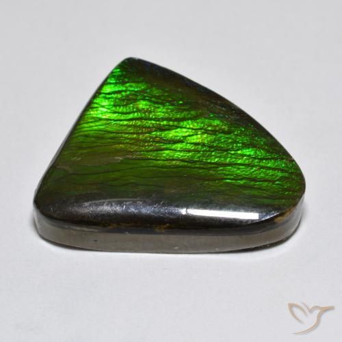 Ammolite Multicolore naturale da 13.96 ct, Taglio a fantasia, Opaco