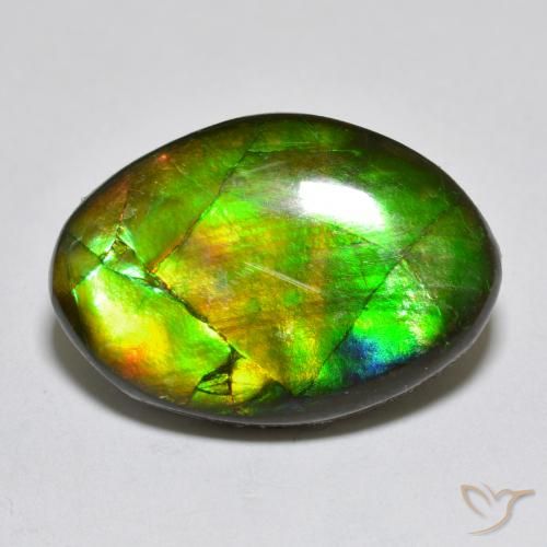 10.50ct Naturale Multicolore Ammolite, Taglio a fantasia, Opaco