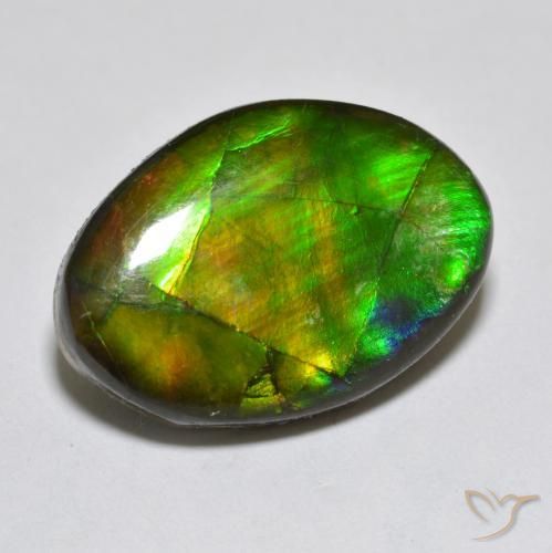 Ammolite Multicolore naturale da 10.50 ct, Taglio a fantasia, Opaco