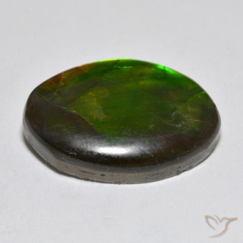 Ammolite Multicolore naturale da 10.50 ct, Taglio a fantasia, Opaco