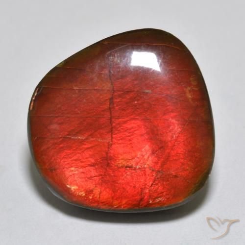 15.39ct Naturale Multicolore Ammolite, Taglio a fantasia, Opaco