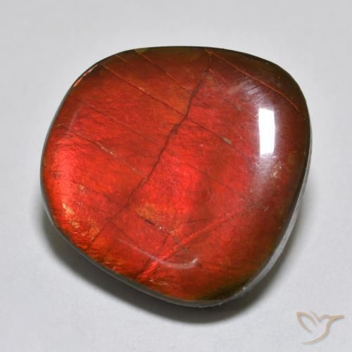 Ammolite Multicolore naturale da 15.39 ct, Taglio a fantasia, Opaco