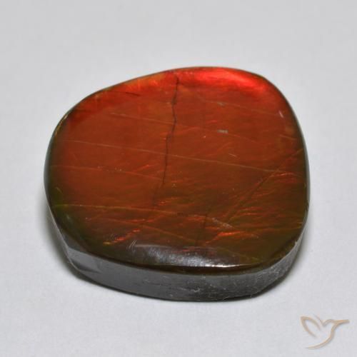 Ammolite Multicolore naturale da 15.39 ct, Taglio a fantasia, Opaco