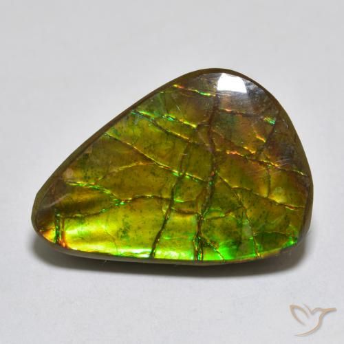 11.13ct Naturale Multicolore Ammolite, Taglio a fantasia, Opaco