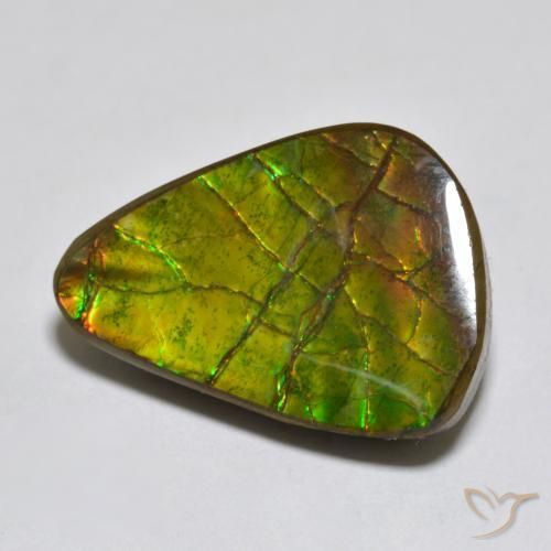 Ammolite Multicolore naturale da 11.13 ct, Taglio a fantasia, Opaco