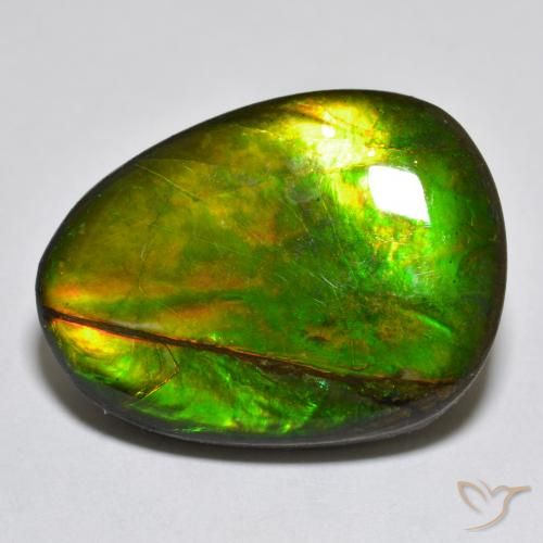 Ammolite Multicolore naturale da 18.76 ct, Taglio a fantasia, Opaco