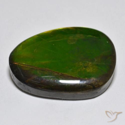 Ammolite Multicolore naturale da 18.76 ct, Taglio a fantasia, Opaco
