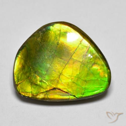 11.11ct Naturale Multicolore Ammolite, Taglio a fantasia, Opaco