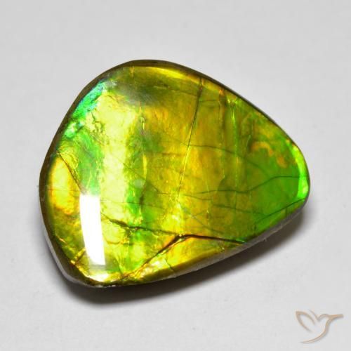 Ammolite Multicolore naturale da 11.11 ct, Taglio a fantasia, Opaco