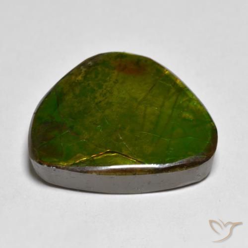 Ammolite Multicolore naturale da 11.11 ct, Taglio a fantasia, Opaco