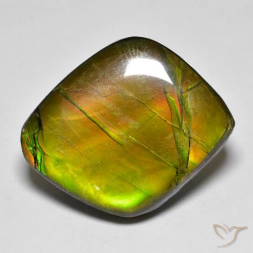 19.04ct Naturale Multicolore Ammolite, Taglio a fantasia, Opaco