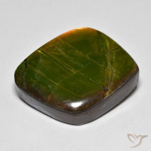 Ammolite Multicolore naturale da 19.04 ct, Taglio a fantasia, Opaco