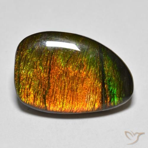 10.20ct Naturale Multicolore Ammolite, Taglio a fantasia, Opaco
