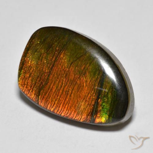 Ammolite Multicolore naturale da 10.20 ct, Taglio a fantasia, Opaco