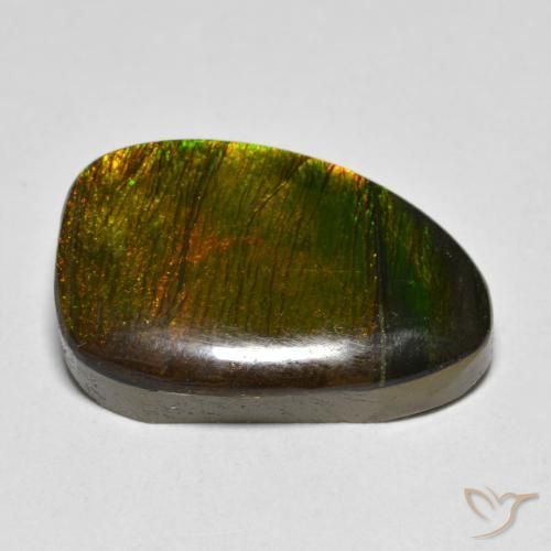 Ammolite Multicolore naturale da 10.20 ct, Taglio a fantasia, Opaco