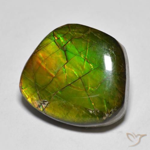 11.20ct Naturale Multicolore Ammolite, Taglio a fantasia, Opaco