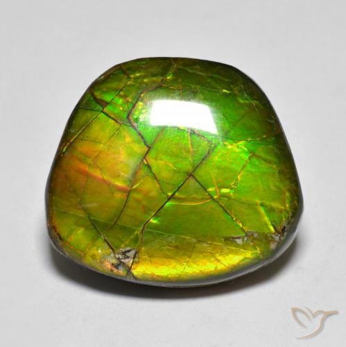 Ammolite Multicolore naturale da 11.20 ct, Taglio a fantasia, Opaco
