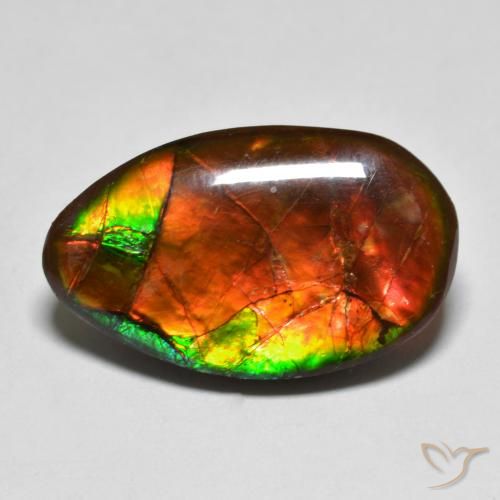 Ammolite Multicolore naturale da 13.17 ct, Taglio a fantasia, Opaco