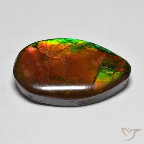 Ammolite Multicolore naturale da 13.17 ct, Taglio a fantasia, Opaco