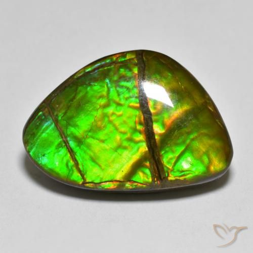 12.75ct Naturale Multicolore Ammolite, Taglio a fantasia, Opaco